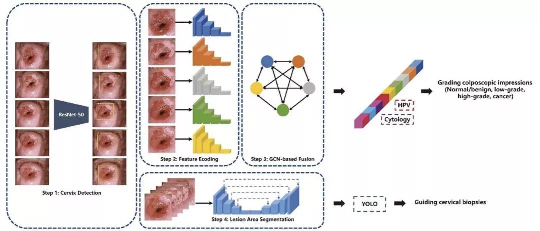 在AI消灭宫颈癌这件事情上,腾讯天衍实验室做了一些重磅研究