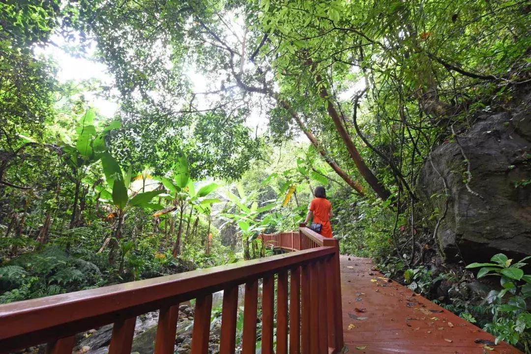 非常凉快的避暑胜地,除了空调还有什么可以吹冷风