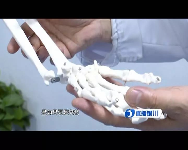 健身私教市场,银川有健身教练培训吗