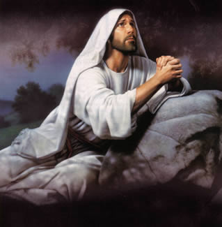 15篇英语读书笔记好词好句,英语读书笔记摘抄单词大全