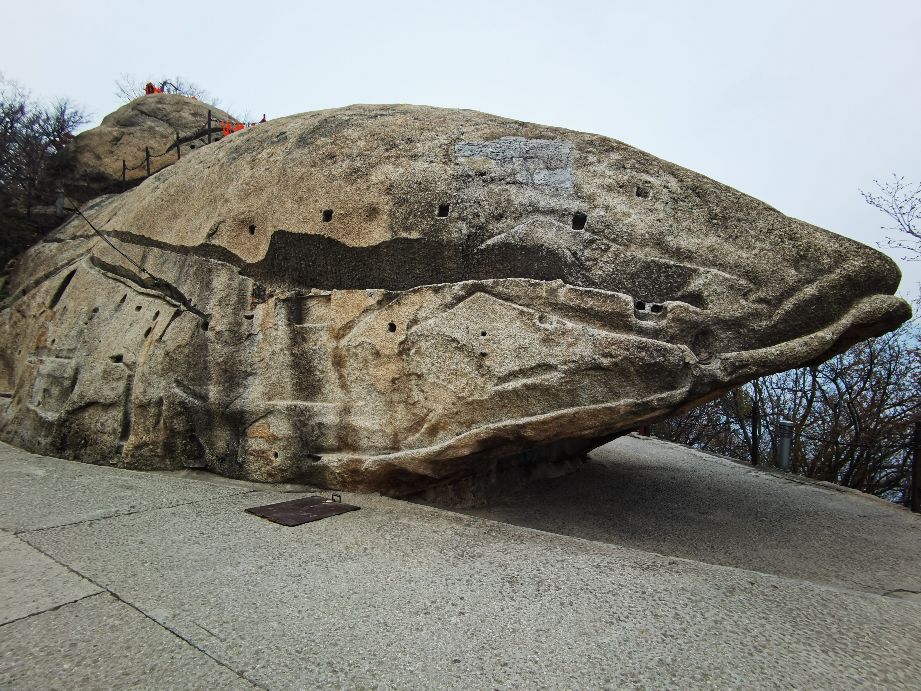 华山的五座峰分别可以干什么,华山一日游登山攻略图片简单