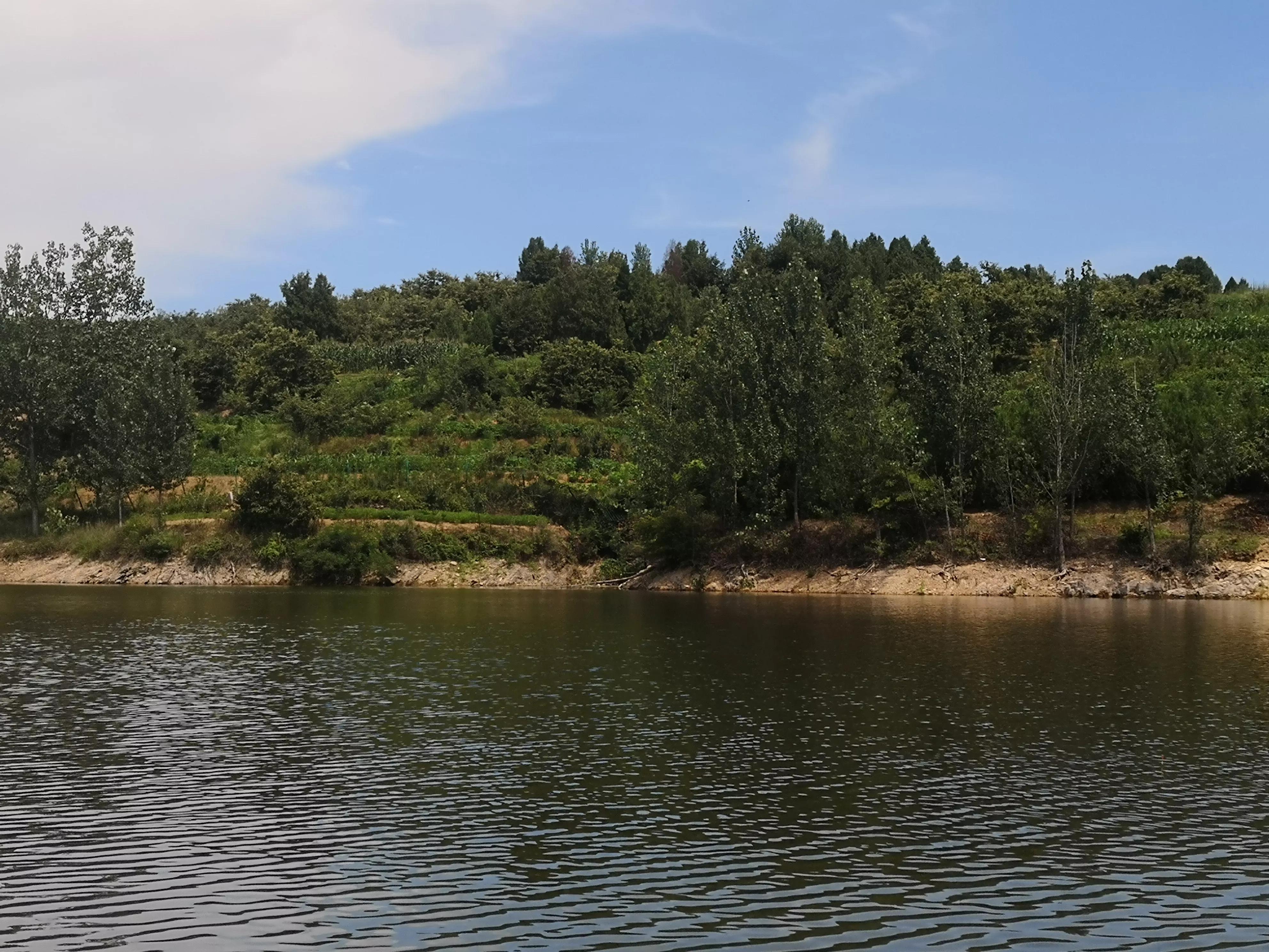 垂钓草鱼的三大要领必须牢记,草鱼垂钓技巧讲解