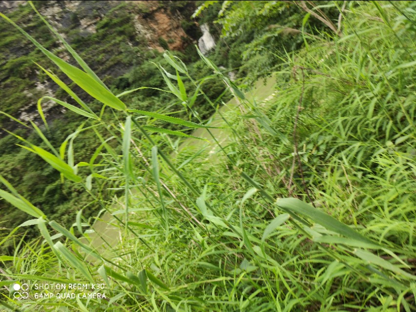 宗申125踏板摩旅,宗申150x摩旅