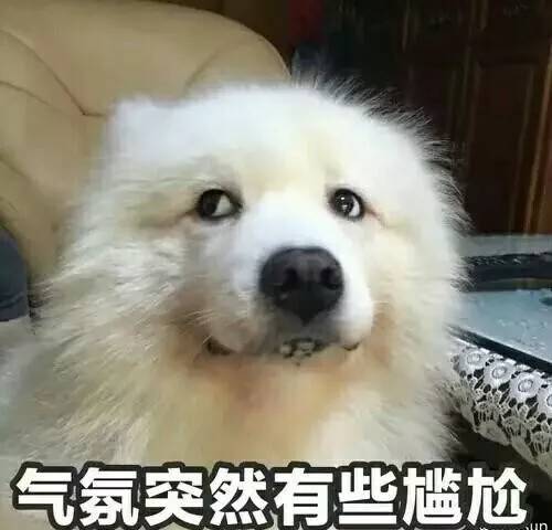 为什么狗狗总是在屋里尿尿,狗狗一出门就不停的撒尿怎么回事