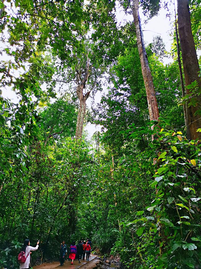 了解西双版纳的风俗和民族文化,西双版纳哈尼族特色民族文化