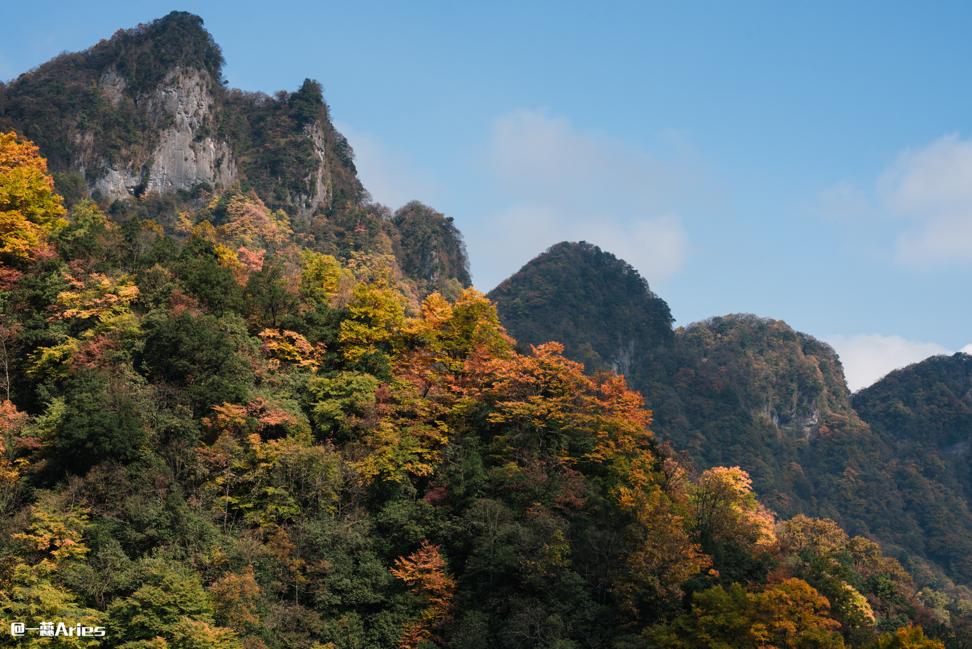 成都周边秋天美到极致的秋色,成都近郊游最美秋色