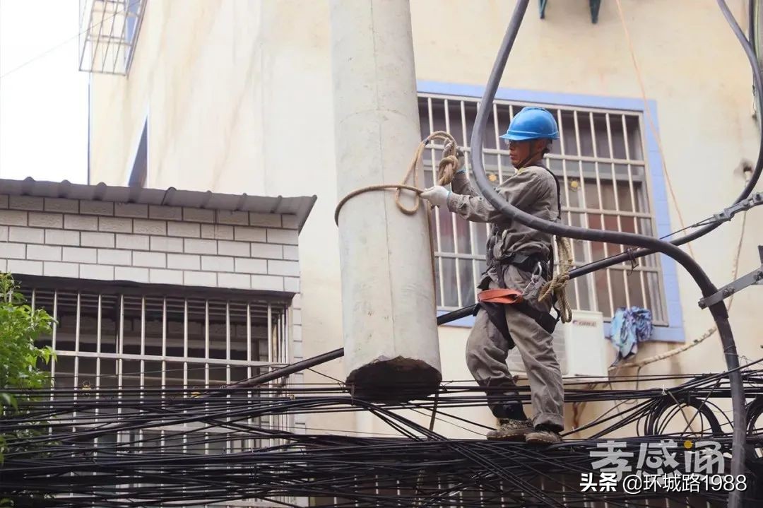 未来可期！向你展现不一样的毛陈