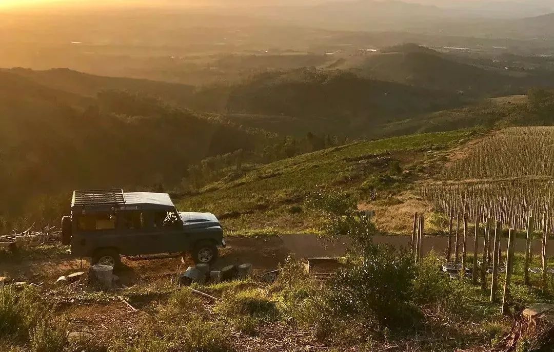 天阶庄园天诚西拉,天阶庄园官网