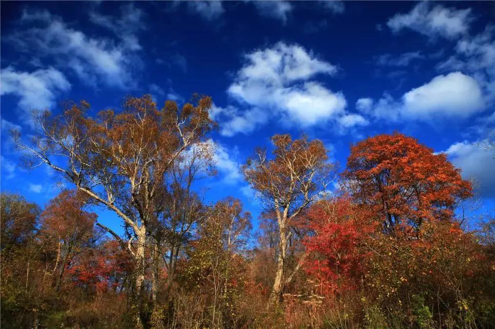 假期逛景区一大波优惠等着您,景点优惠活动视频