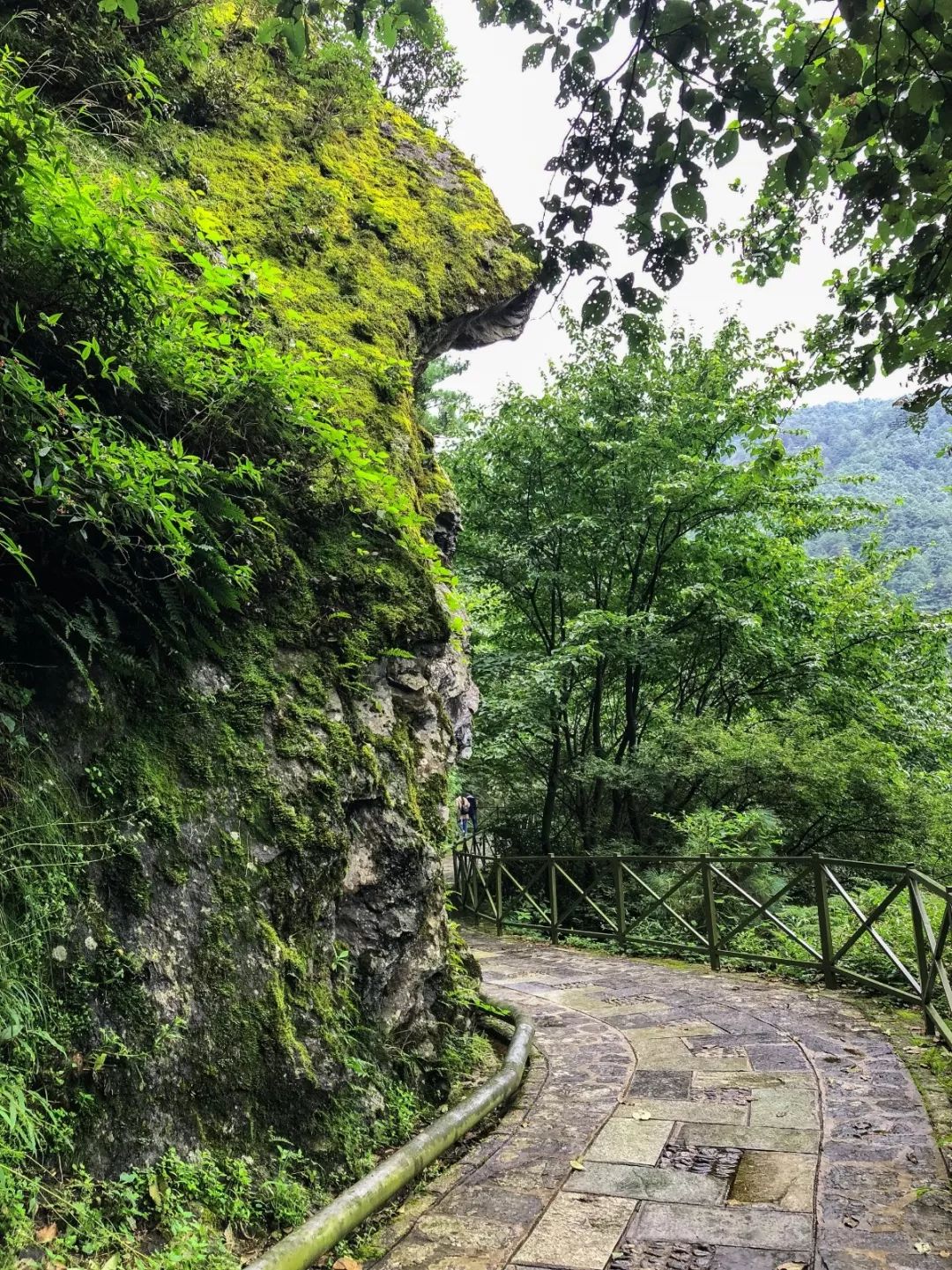 避暑攻略｜夏季均温19℃的大理苍山，才是当之无愧的纳凉避暑地