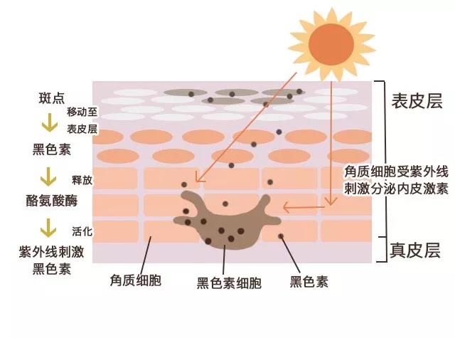 眼霜去黑眼圈紧致抗皱熬夜神器,943熬夜眼霜适合什么类型的黑眼圈