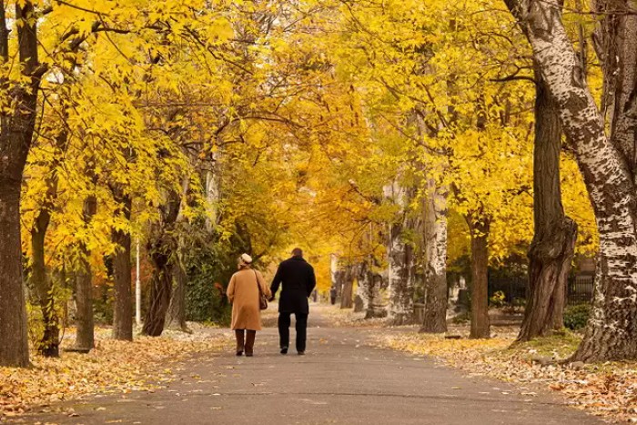 我于昨晚去世走时心如止水,我于昨晚去世走时心如止水图片