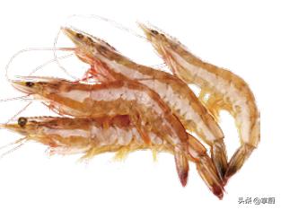 买鱿鱼要注意什么,买鱿鱼丝需要注意什么