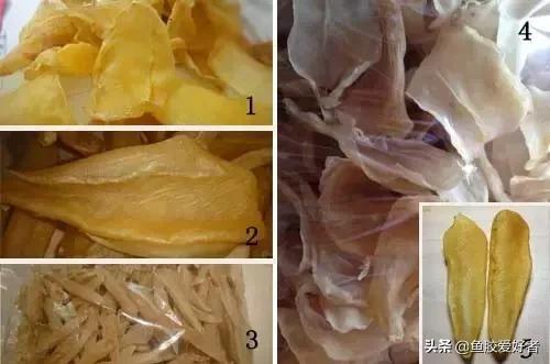 越南白花胶和本港白花胶,巴西白花胶是真的白花胶吗