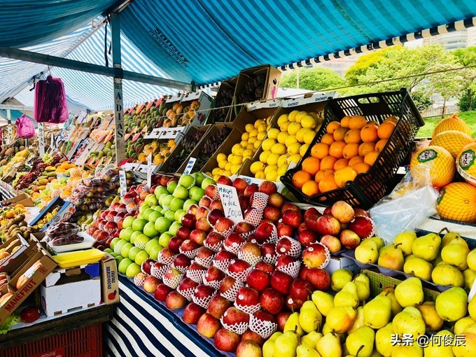 欧洲足球博物馆,足球博物馆museum
