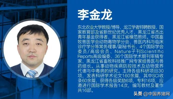 李金龙:十六字箴言论非洲猪瘟防控策略之精准清除方案成败