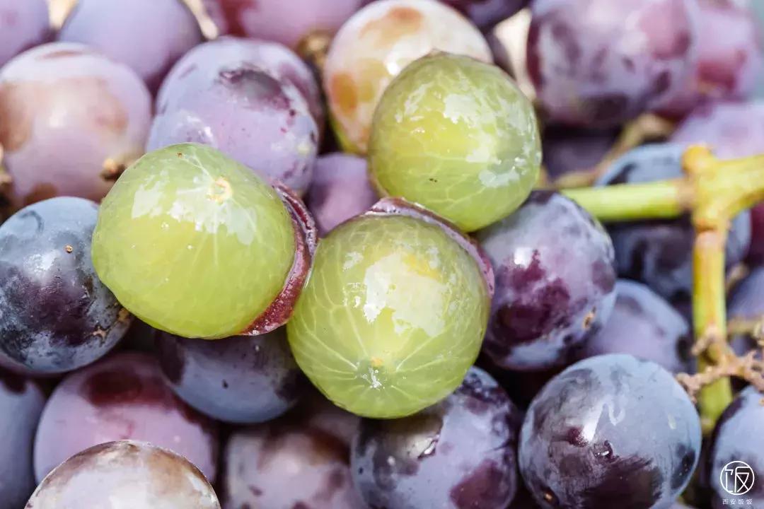 喜茶的多肉葡萄有奶盖吗,喜茶的多肉葡萄做法