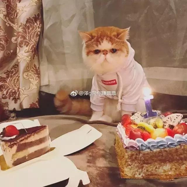 “妈,我是顺产吗?”“你是泼妇产”哈哈哈哈哈哈哈哈哈