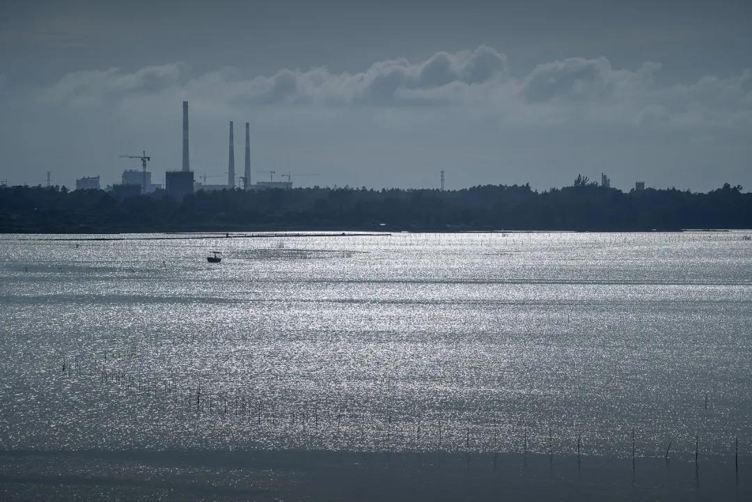 津门网向杰：盈滨半岛夕阳红