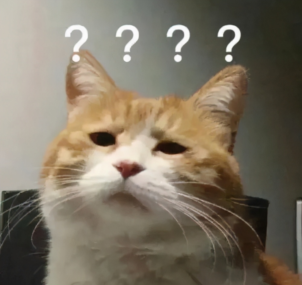 一个月的泰迪拉肚子怎么办,泰迪两个月拉肚子怎么办