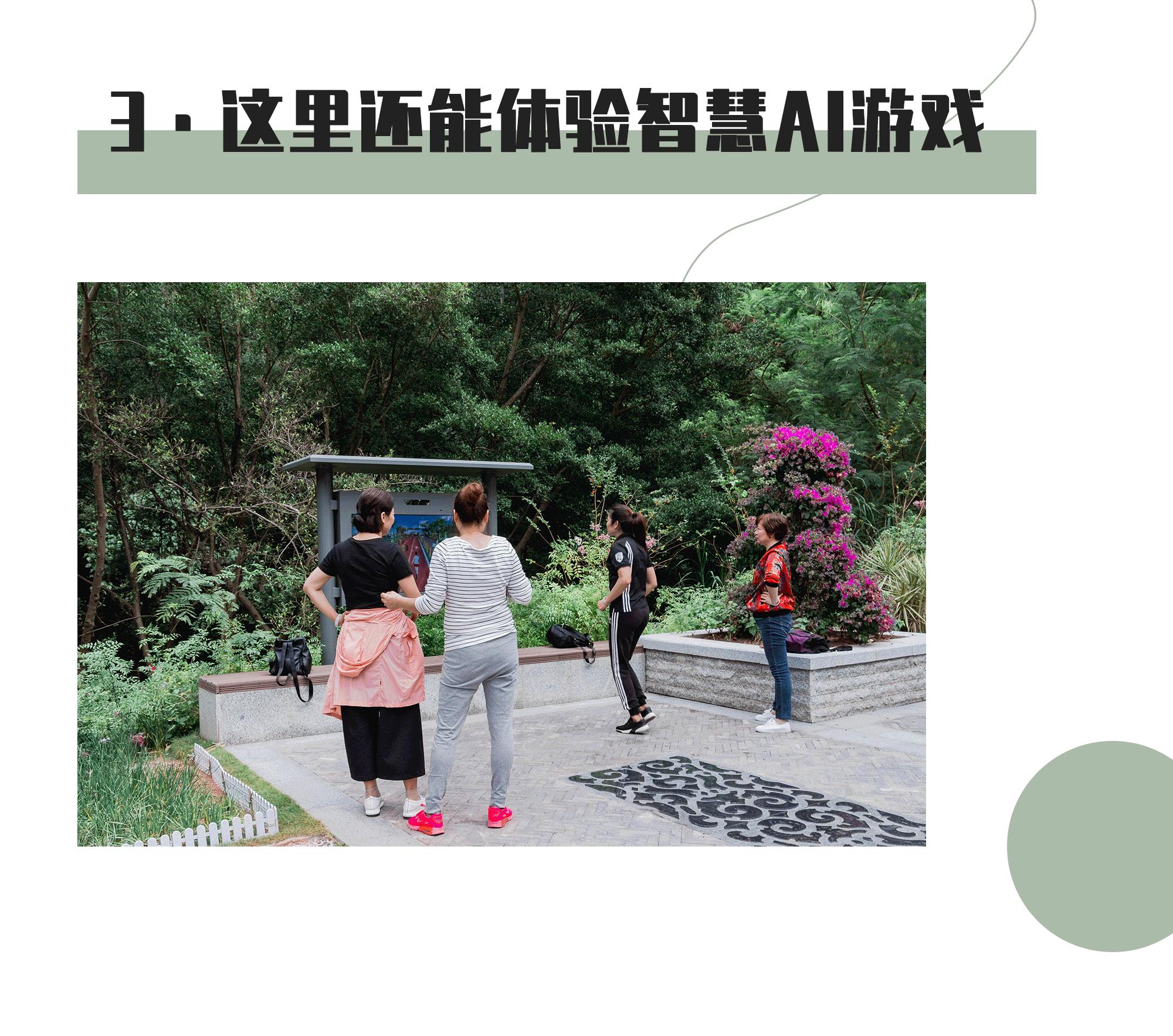 又发现深圳一个“绝美打卡地”!“淘金”绿道,人少免费