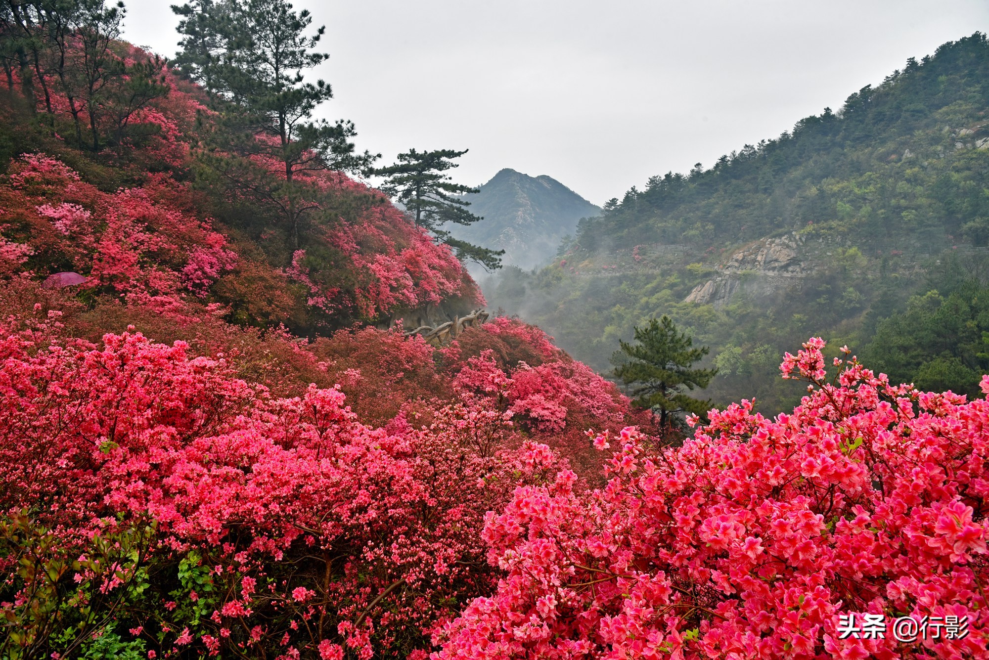 武汉云雾山游玩攻略,安陆云雾山和黄陂云雾山