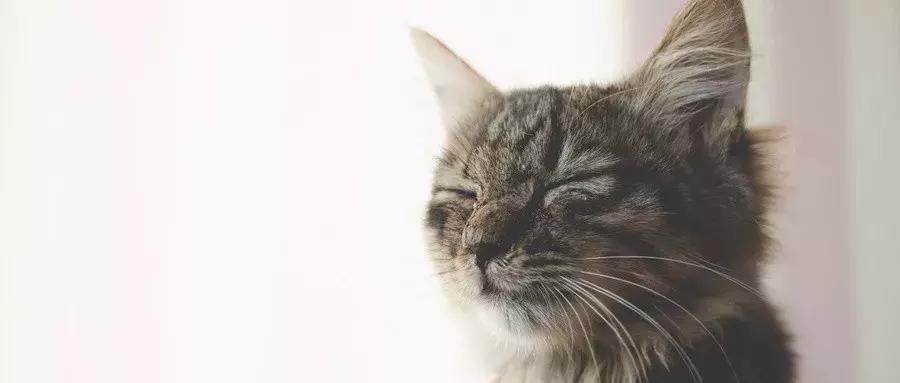 怀孕了还可以闹吗,怀孕还能觉得饿是不是就不会流产