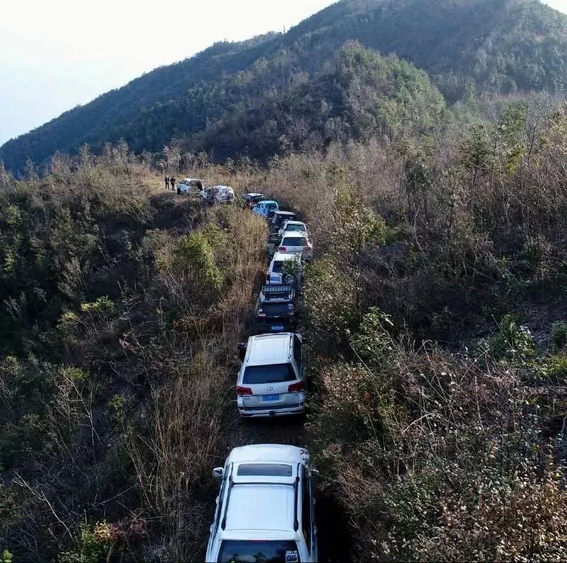 鐖卞績鍔╁鍦嗘ⅵ琛屽姩,鍏泭鐖卞績鍔╁娲诲姩