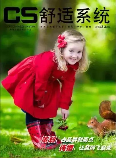 解决窜货经典案例,窜货太严重该咋解决