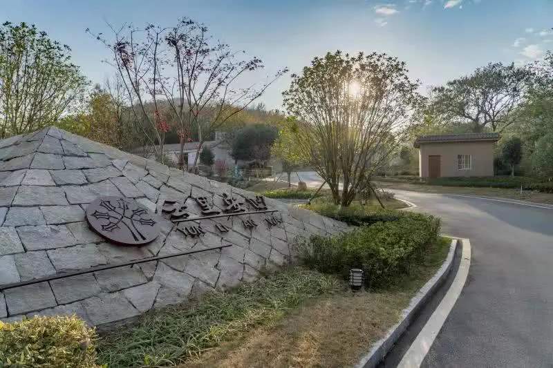 【春游庐江攻略】春暖花开庐江邀您共赴一场灼灼芳华之旅!