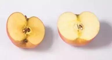 脸上用高端化妆品真的管用吗,美容整形医生不会告诉你的秘密