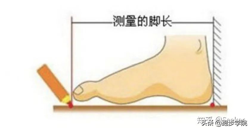 跑道上跑马跑鞋推荐,跑马一般用什么跑鞋