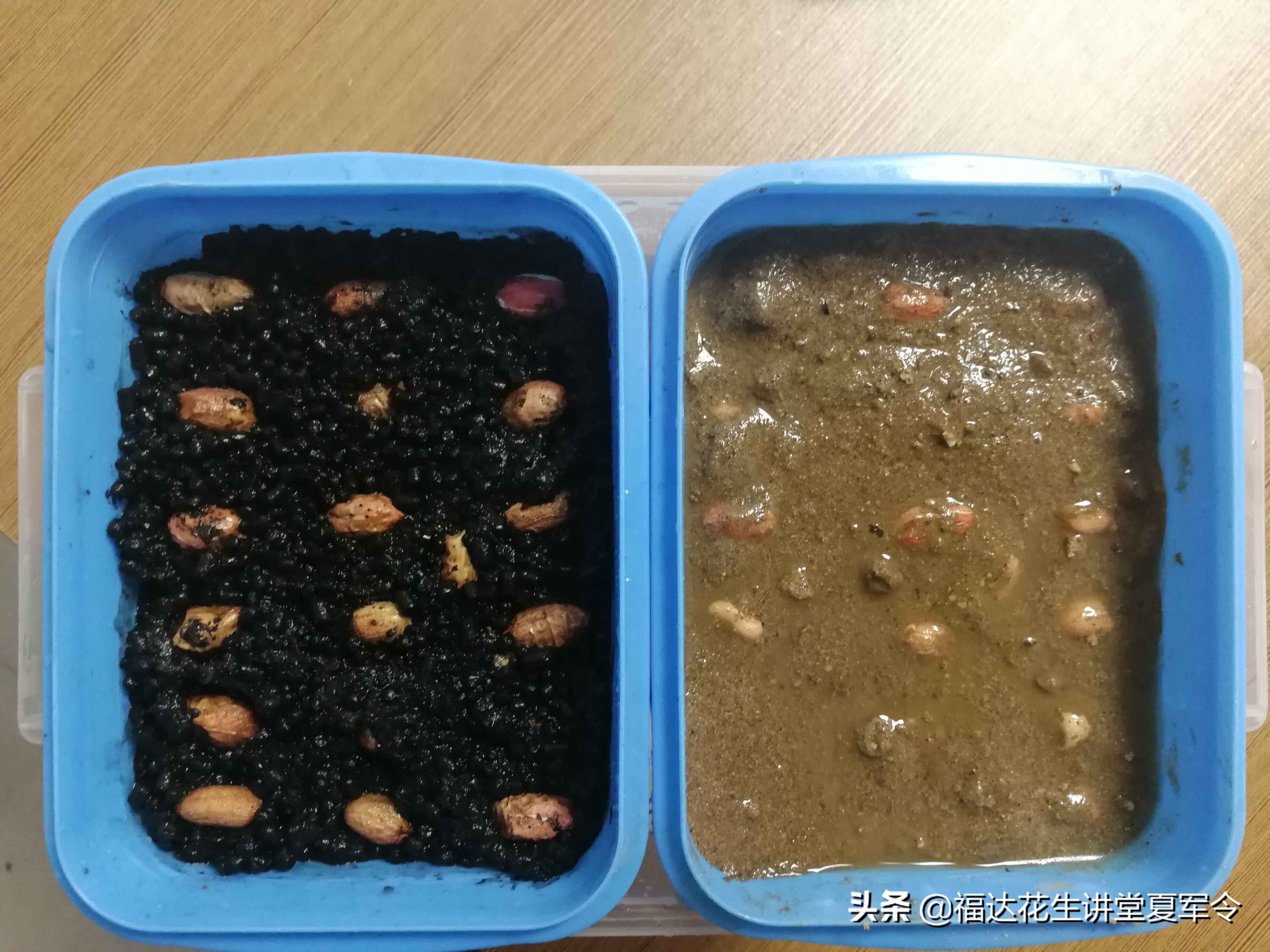 如何确保花生一播全苗,花生种植实行全程技术指导服务