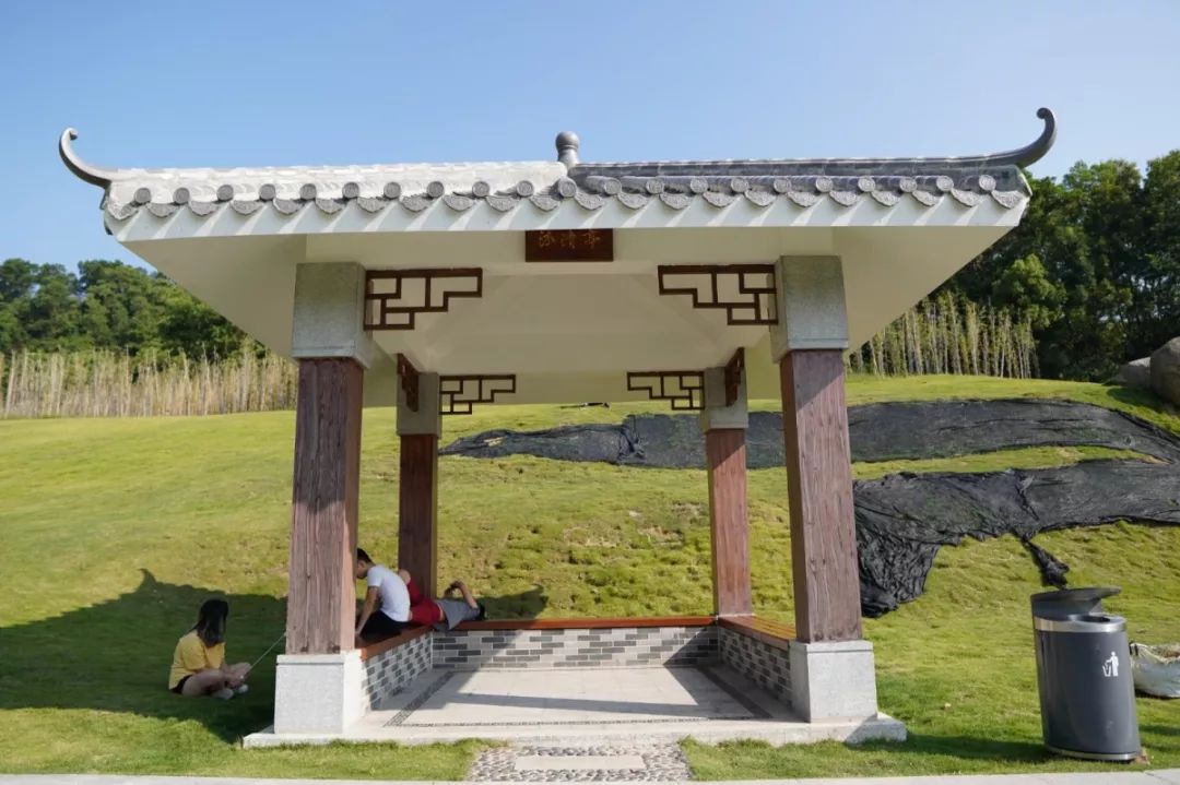 人少还免门票！深圳这片5000000㎡新公园美翻了，“神仙花谷”