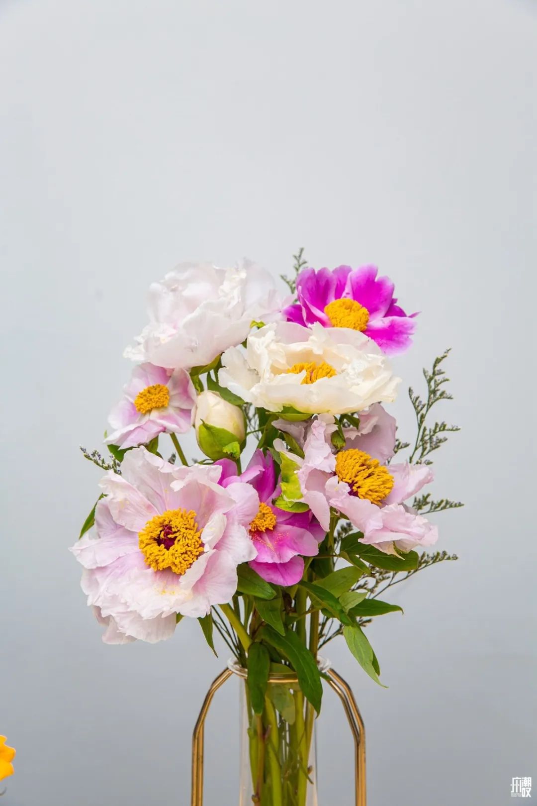 深夜去广州的花卉市场买花,如何逛斗南花卉市场买花便宜