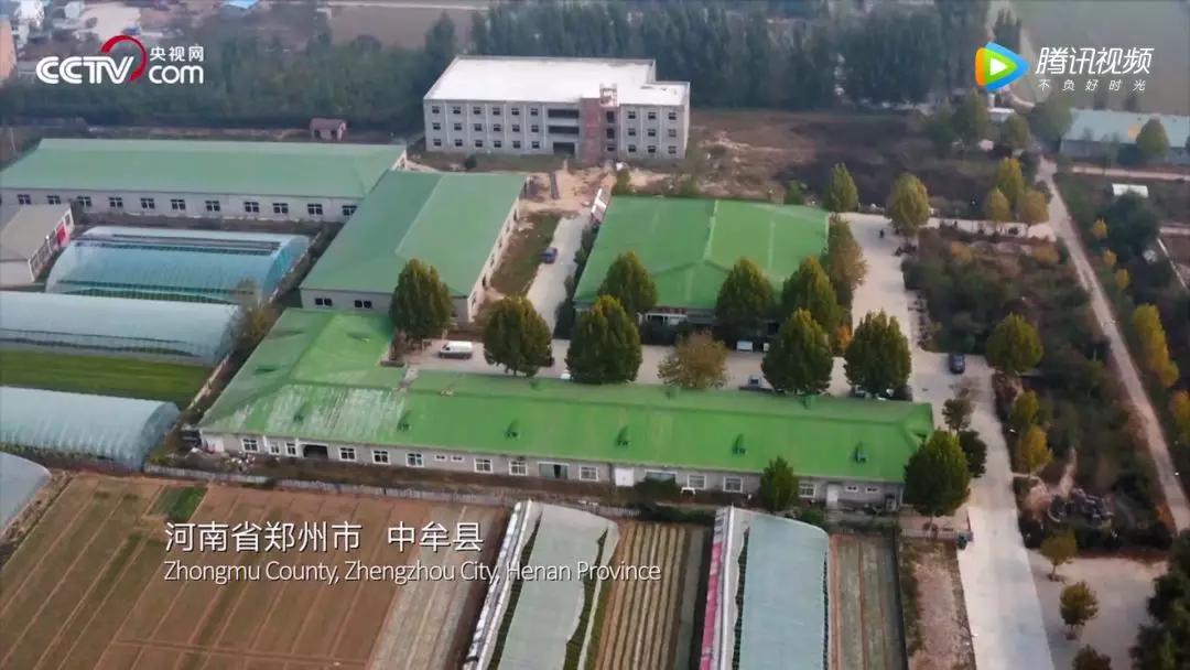 不知从什么时候开始，连“被骂”都成为了“对等”的一种评价