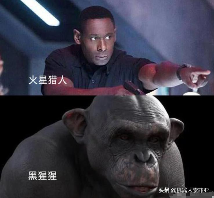 将黑人识别为“灵长类动物”？脸书AI的歧视源自人类内心