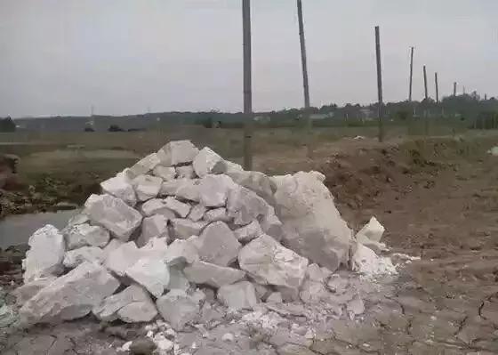 适合45至55岁创业项目小龙虾养殖,养殖小龙虾前景怎样