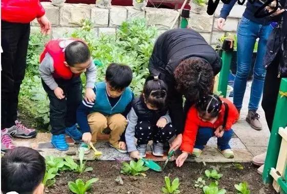 上海十大民办园,上海公办示范园有哪些