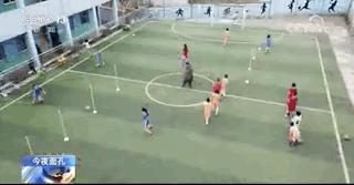 教诗歌的语文老师，带出了一支足球队！还整挺好