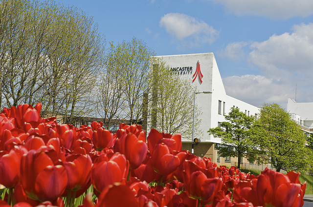 英国要越早申请越好吗,2021年办理英国签证需要什么材料