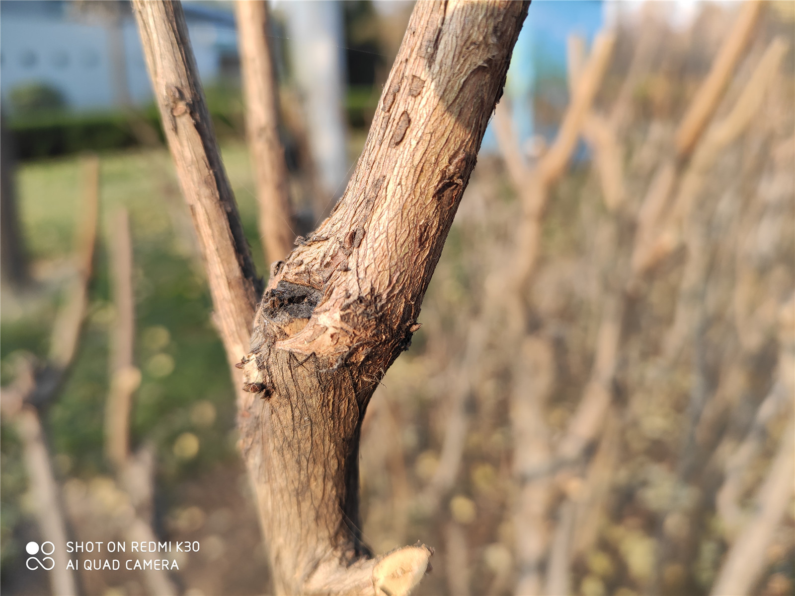 redmik30至尊版和红米k30pro参数,redmik30s至尊纪念版