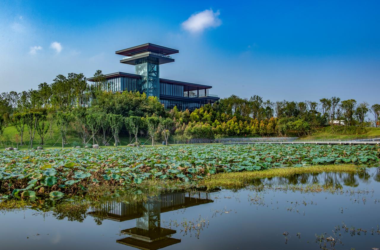 建设大美简州，中交四航局为成渝双城经济圈发展贡献央企力量