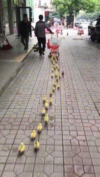 球不是这样踢滴搞笑图片,足球趣图搞笑图片