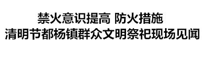 文明祭祀防山火共护绿水青山,清明节文明祭祀预防火灾工作简报