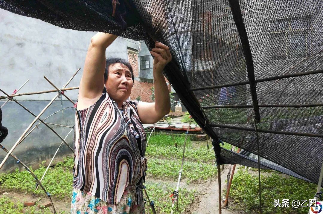 女孩练舞蹈腿疼,女生说练舞腰疼怎么回复