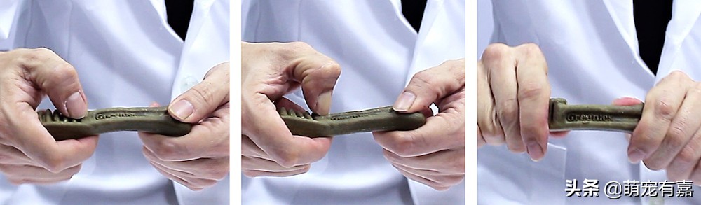 辟谣狗狗补钙应该吃骨头才最有效,狗狗洁齿哪种方法好