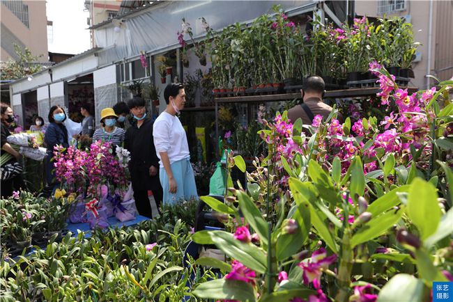 广州逛花市去哪里最好,广州岭南花卉市场人气旺似行花街