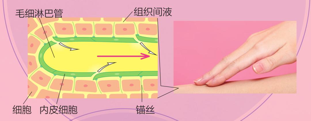 宁静按摩脸部手法的小视频,宁静按摩脸部去除法令纹视频