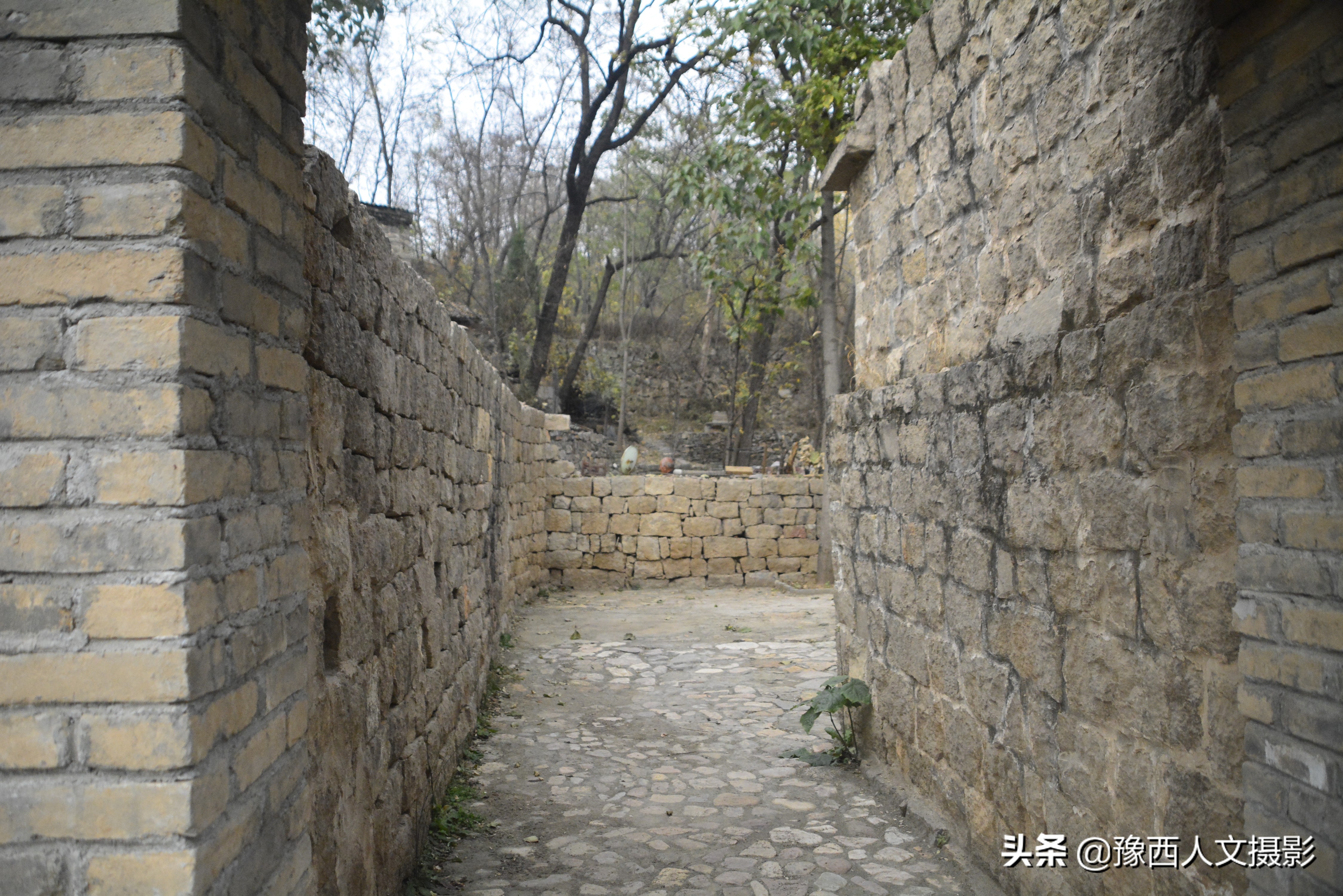 山村老两口想吃碗凉粉，削坏红薯在铁板上磨浆，半天胳膊就肿了